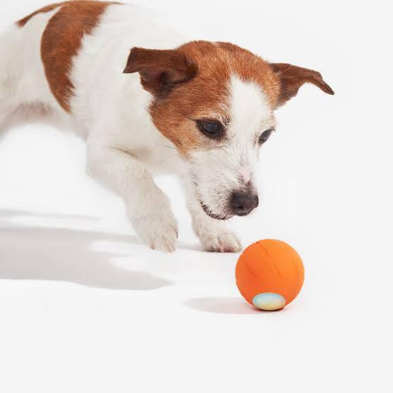 Pelota Inteligente Interactiva para Perros y Gatos